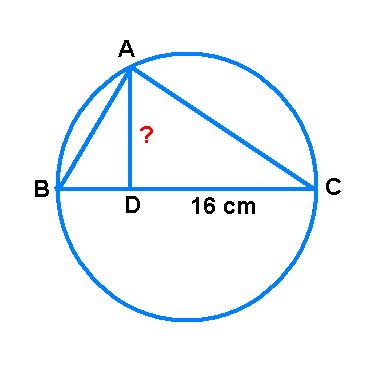 desen4.jpg
