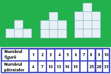 functie_buton11.jpg