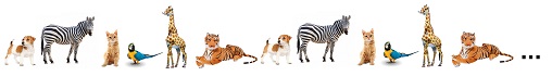 animale.jpg